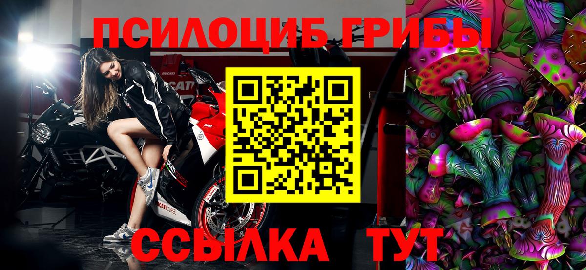 Псилоцибиновые грибы ЛСД  Новоалександровск 