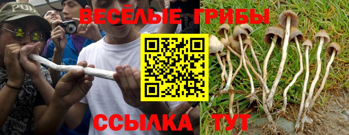 Новоалександровск  Галлюциногенные грибы MAGIC MUSHROOMS  Псилоцибиновые грибы Magic Shrooms  Вход с VPN 